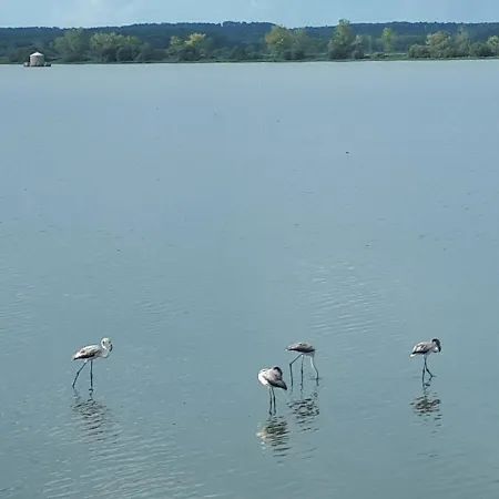 Maison Au Calme Nature Et La Du Marais شقة *