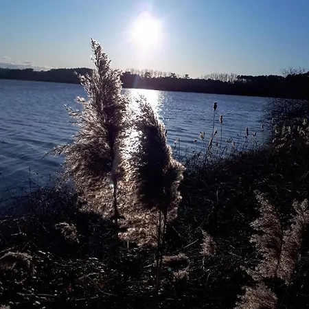 Maison Au Calme Nature Et La Du Marais شقة Saint-André-de-Seignaux