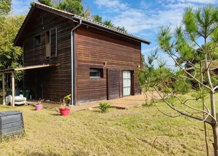 Maison Au Calme Nature Et La Du Marais * Saint-André-de-Seignaux