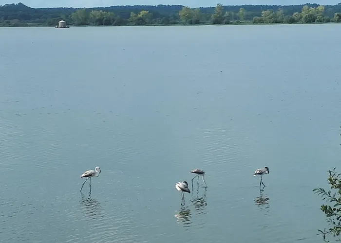 Maison Au Calme Nature Et La Du Marais アパート *