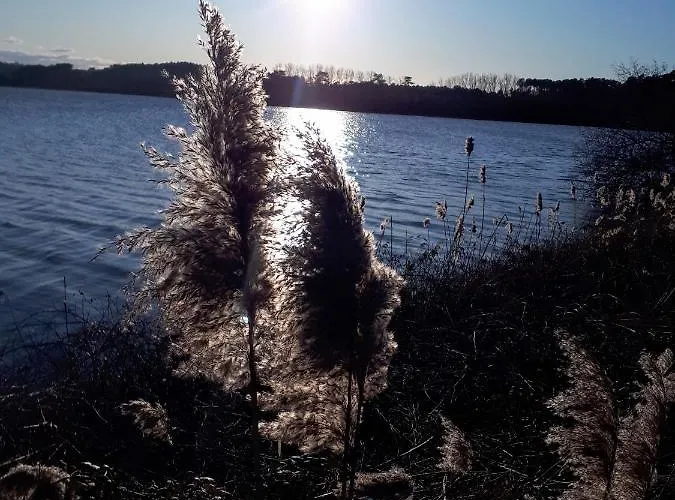 Maison Au Calme Nature Et La Du Marais アパート Saint-André-de-Seignaux