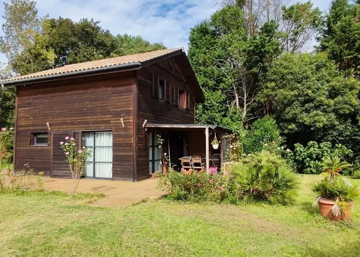 Maison Au Calme Nature Et La Du Marais アパート Saint-André-de-Seignaux