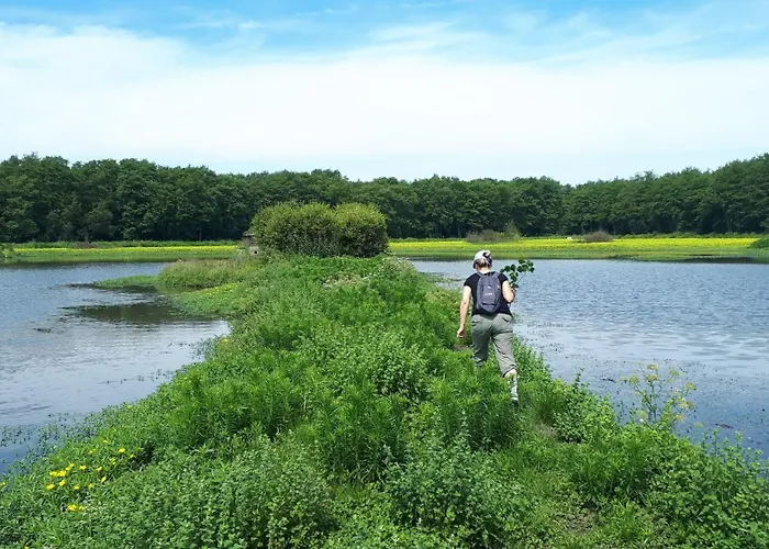 Maison Au Calme Nature Et La Du Marais Saint-André-de-Seignaux