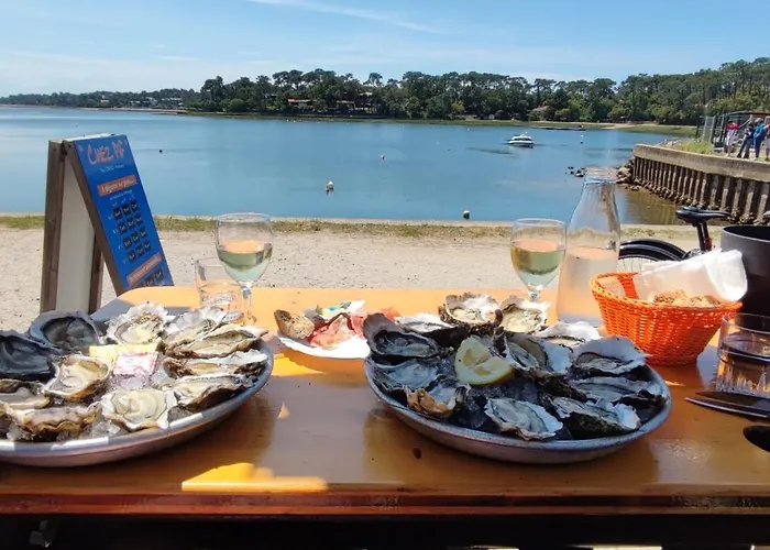 Maison Au Calme Nature Et La Du Marais アパート *